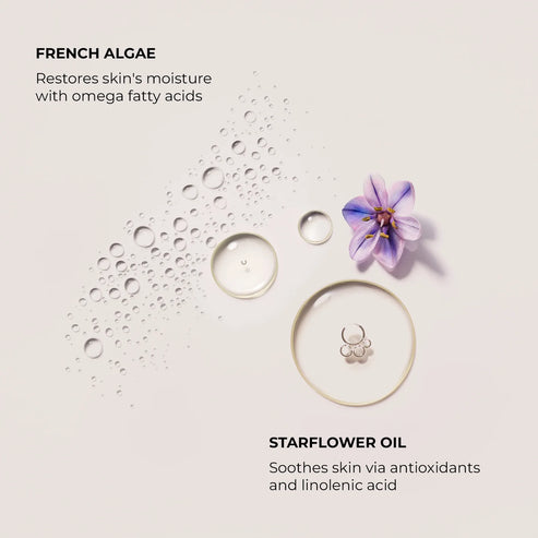 Néroli du Sud Serum Body Cream