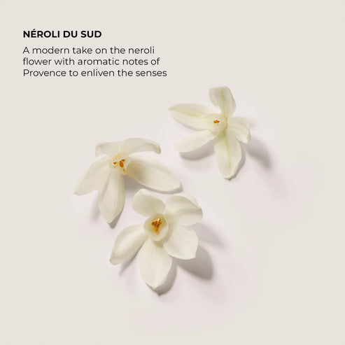 Néroli du Sud Serum Body Cream