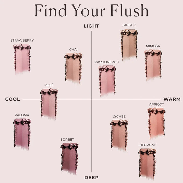 Blush Color Infusion Duo