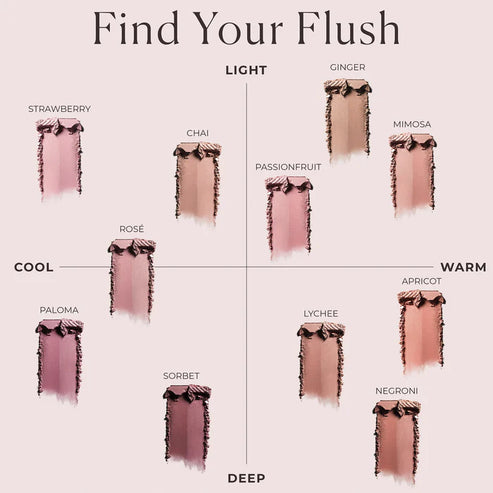 Blush Color Infusion Duo